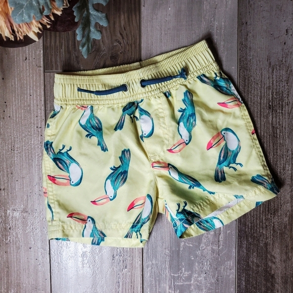 Rashguard And Swim Trunks 2pc Set By Carter's Child Of Mine Size 12m EUC - Picture 14 of 16